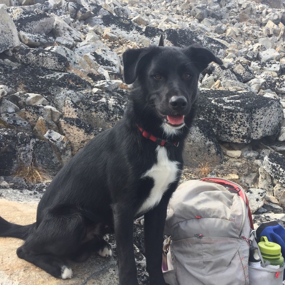 Meet your Posher, Madison